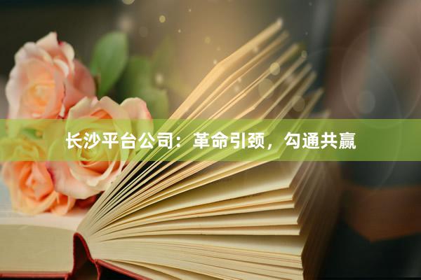 长沙平台公司：革命引颈，勾通共赢