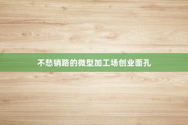 不愁销路的微型加工场创业面孔
