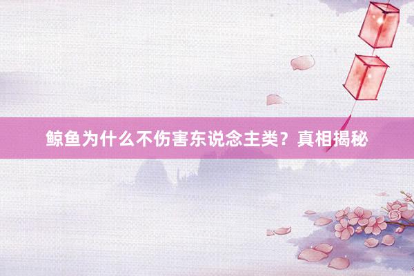 鲸鱼为什么不伤害东说念主类?真相揭秘